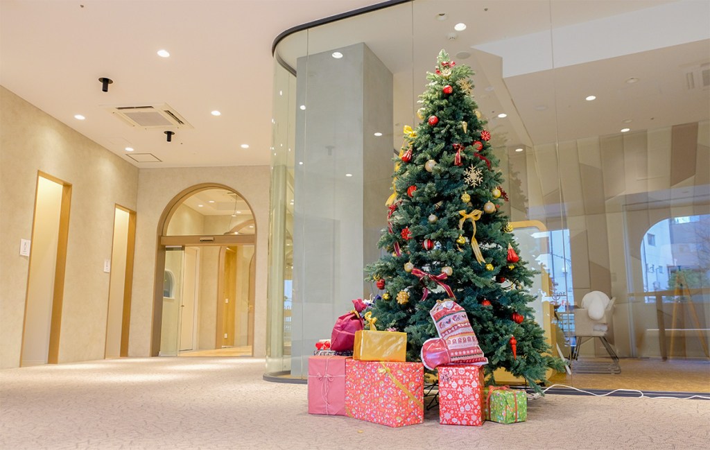We started the Christmas tree one step ahead of the others!